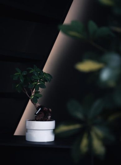 Social Media Video Production Agency